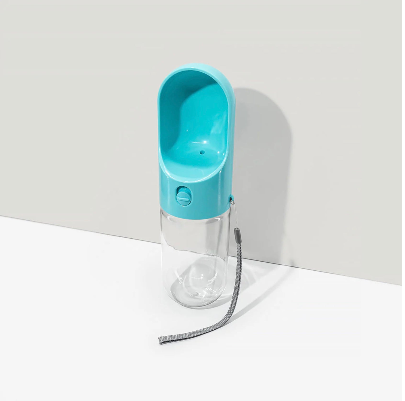 Bouteille Portable