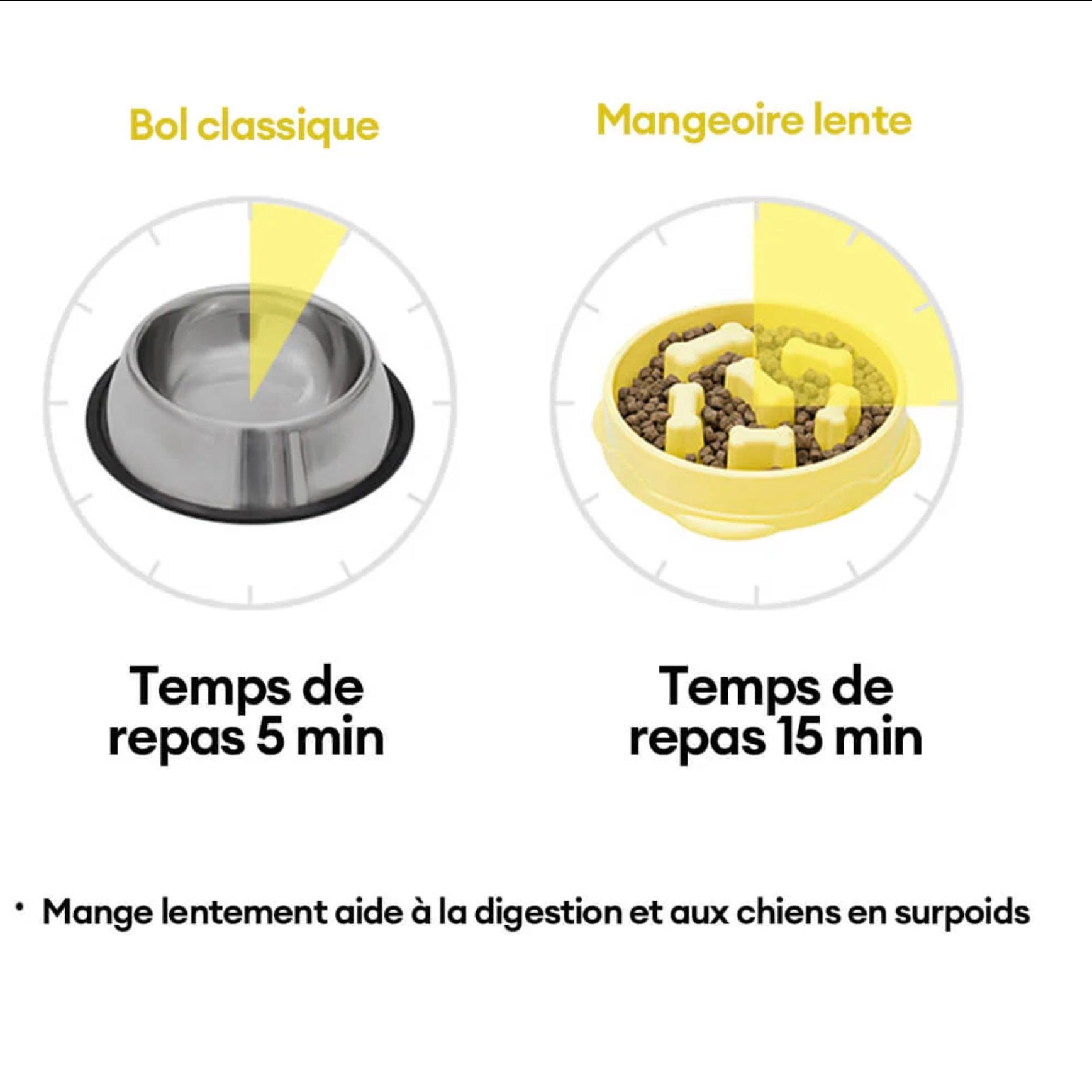 Bol Nutrition Lente