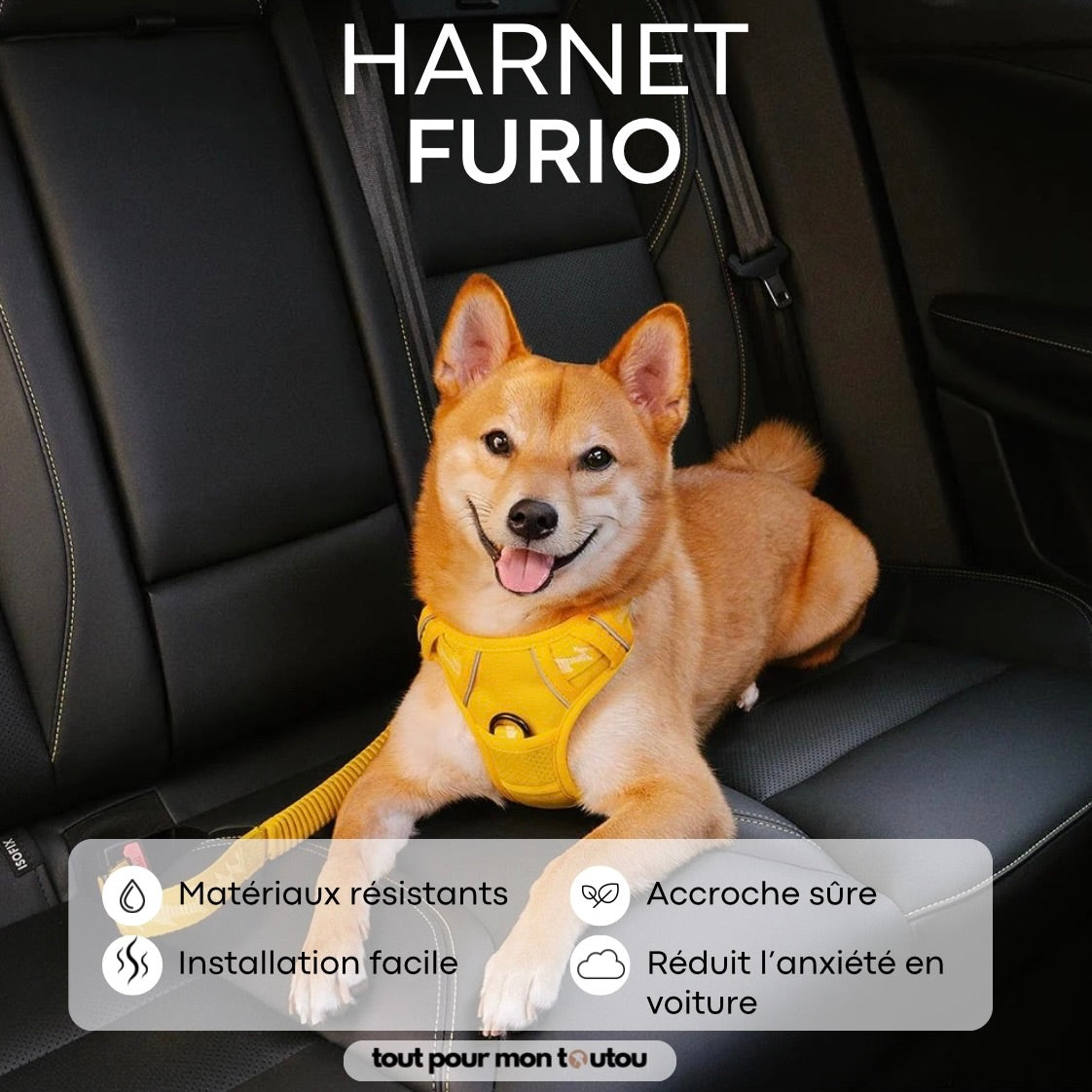 Lanière de transport Furio