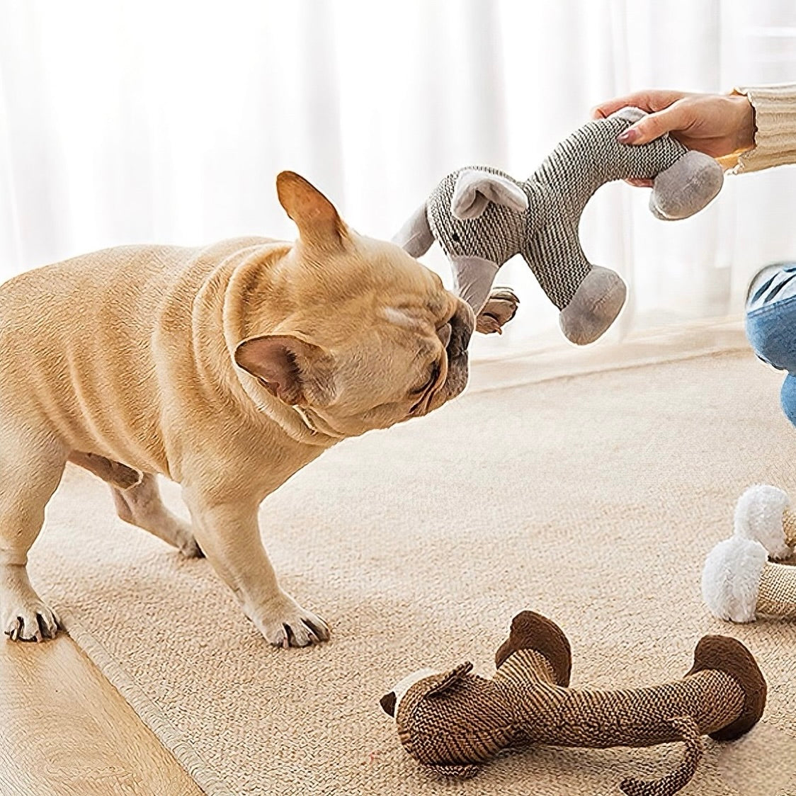 Jouets à macher