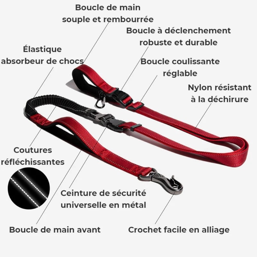 Laisse 6 en 1
